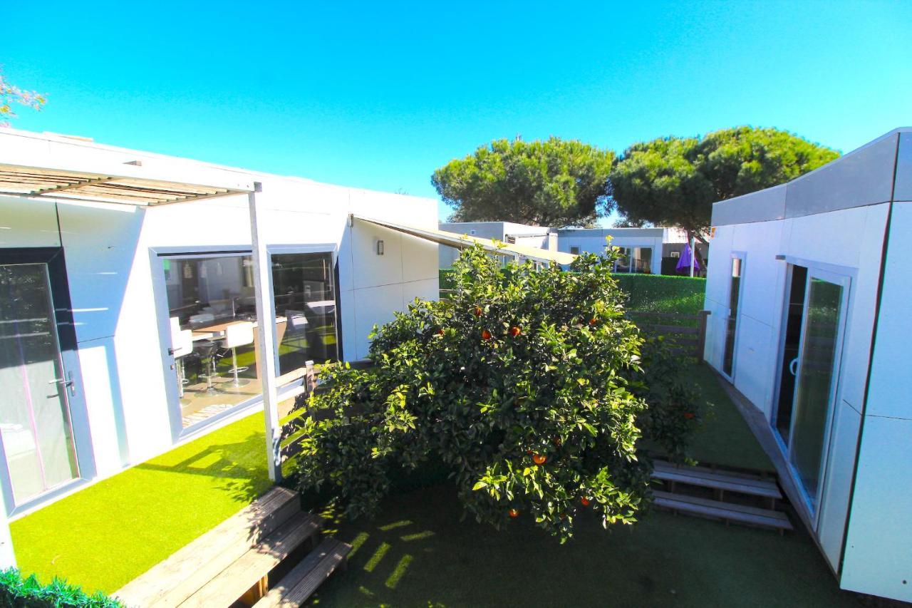 Villa Casa De Cedros Setúbal Exterior foto